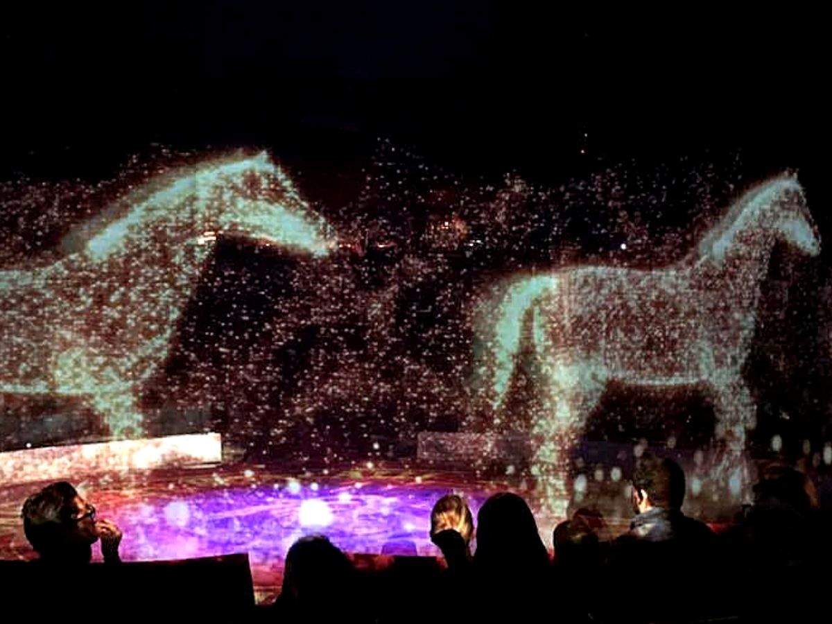 Wow! This German circus is using technology for animal cruelty-free show -  Times of India