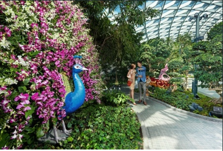 Know how Singapore’s Changi Airport is competing with itself