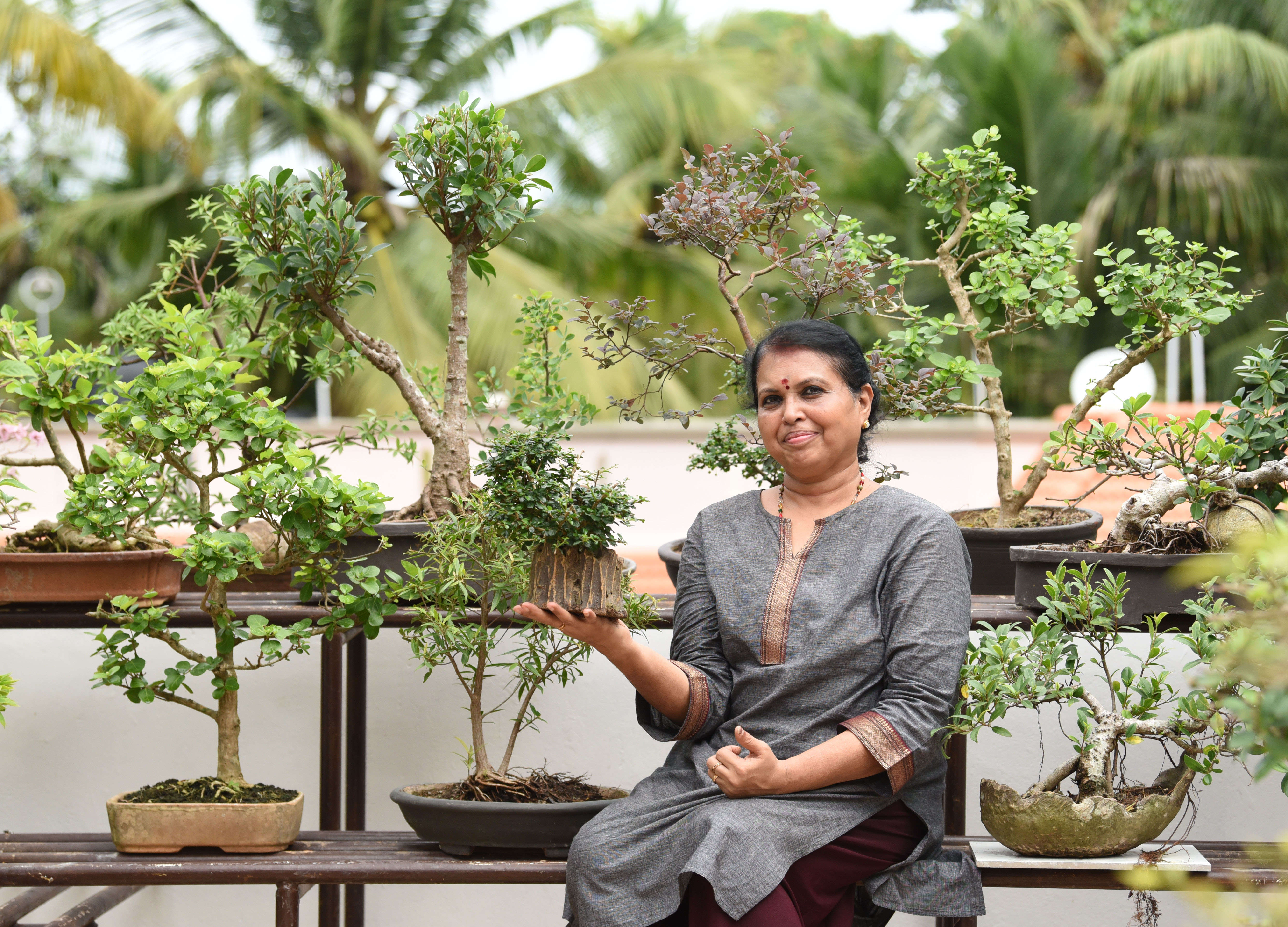 A botanist and her bonsai garden  Kochi News - Times of India