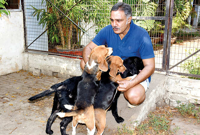 Dad's the way for their pooch lovers in Lucknow - Times of India Dad's the way for their pooch lovers in Lucknow - Times of India