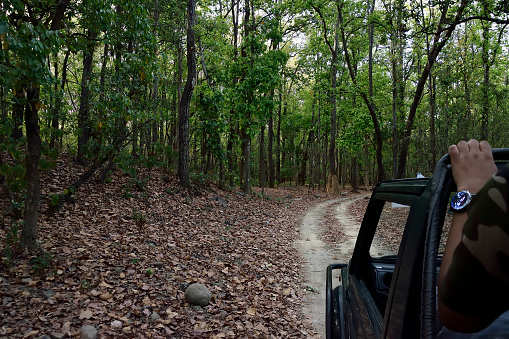 ‘VIP Stay’ not a possibility at Corbett Tiger Reserve now