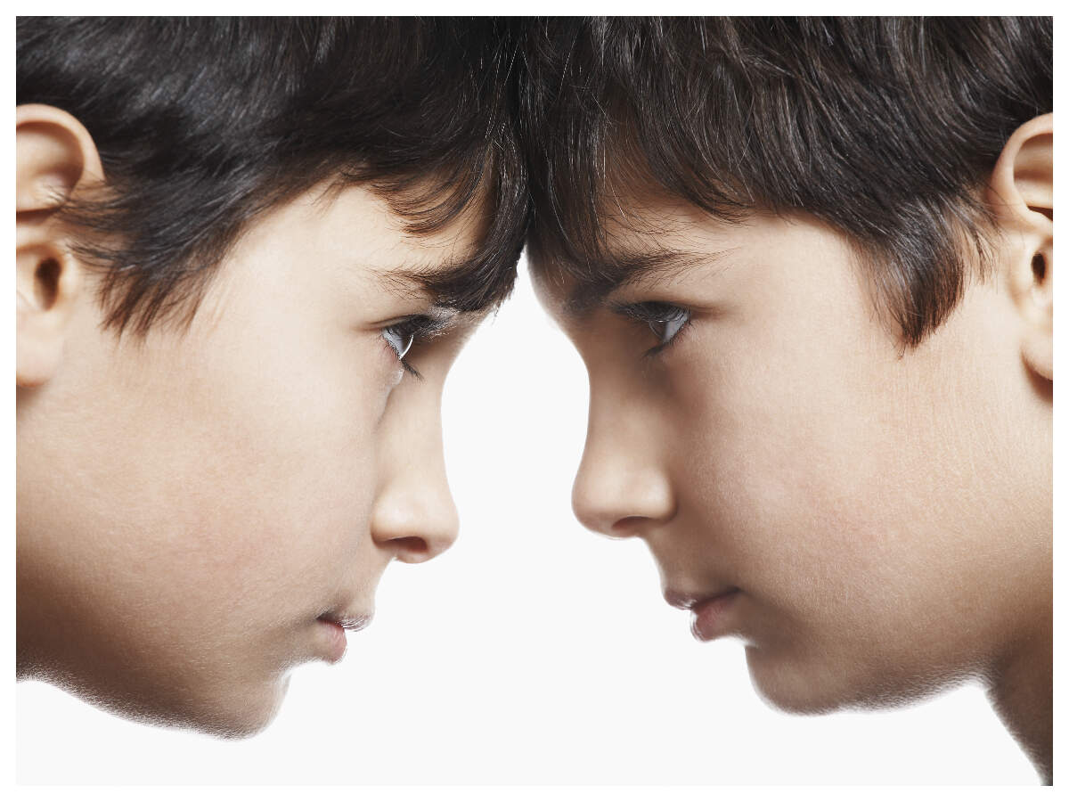 paragraph on sibling rivalry