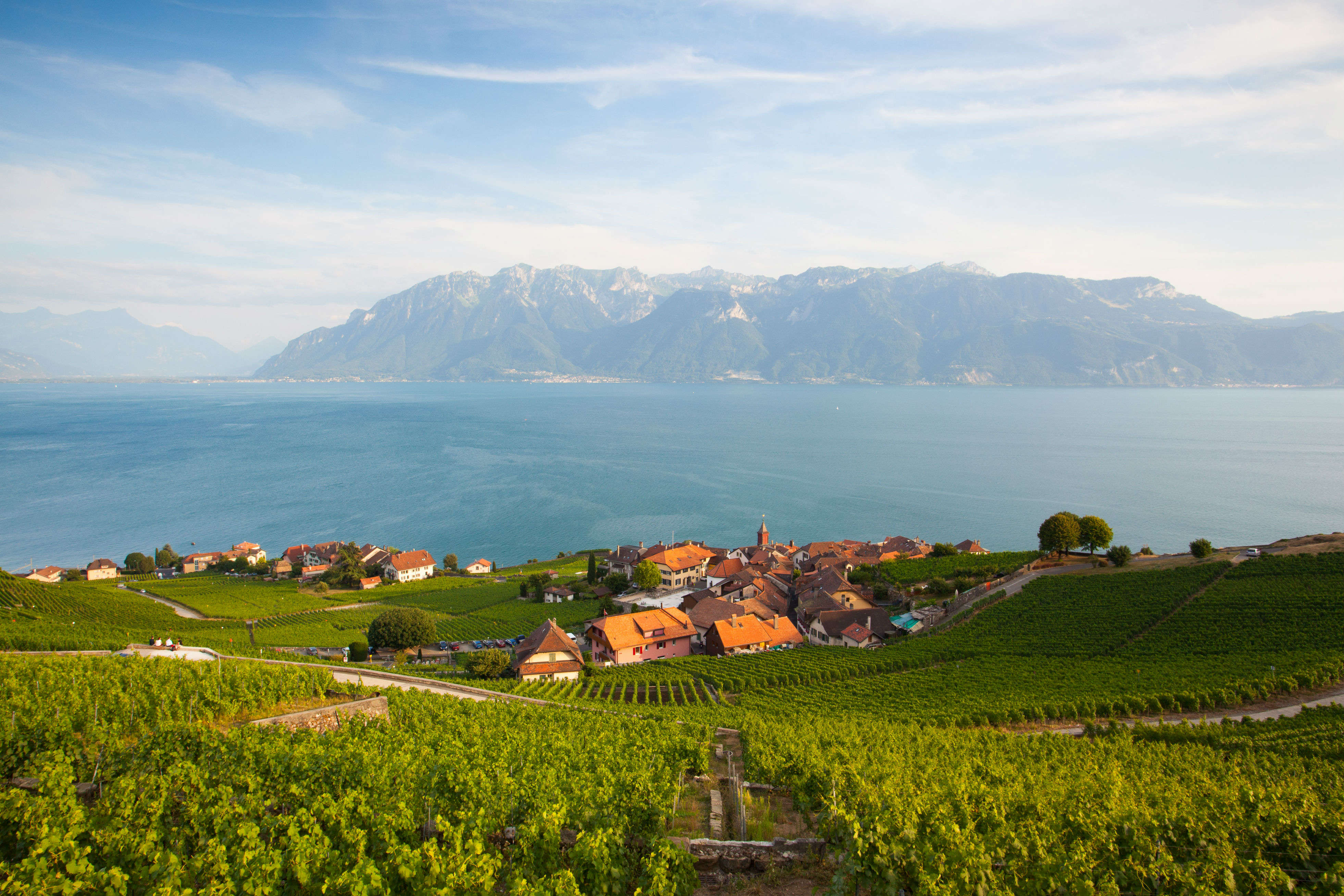 Festival of Winegrowers—Swiss wine festival is back after twenty years