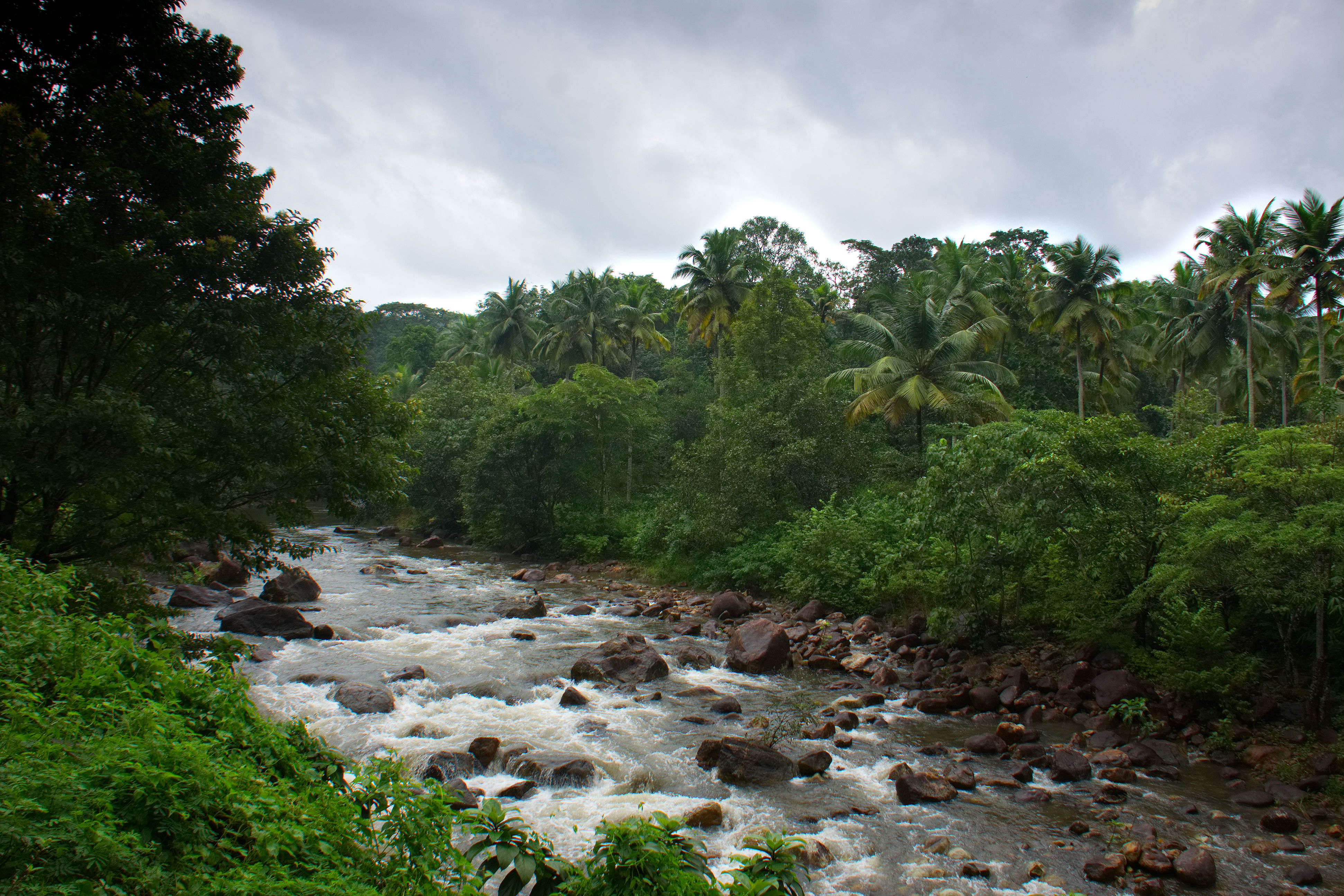 Kerala Tourism launches monsoon packages to attract travellers