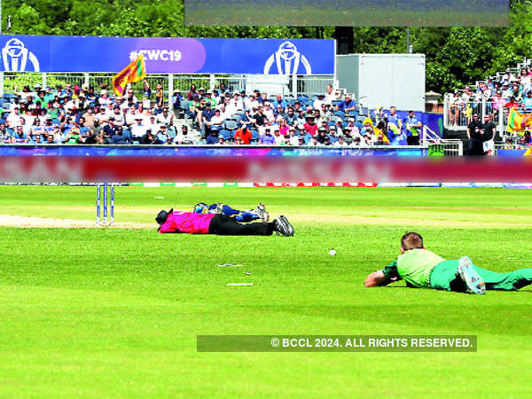 Umpires, and Sri Lankan and South African players lie on the ground to avoid bees in Durham on Friday