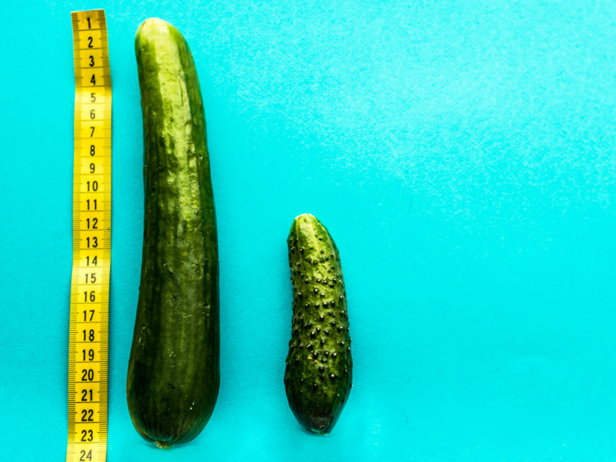 #SexQuery: Does the size of your penis increase during summer season.