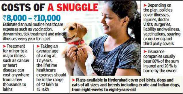 Want to save up on your fur friend's care? Insure them | Hyderabad News -  Times of India