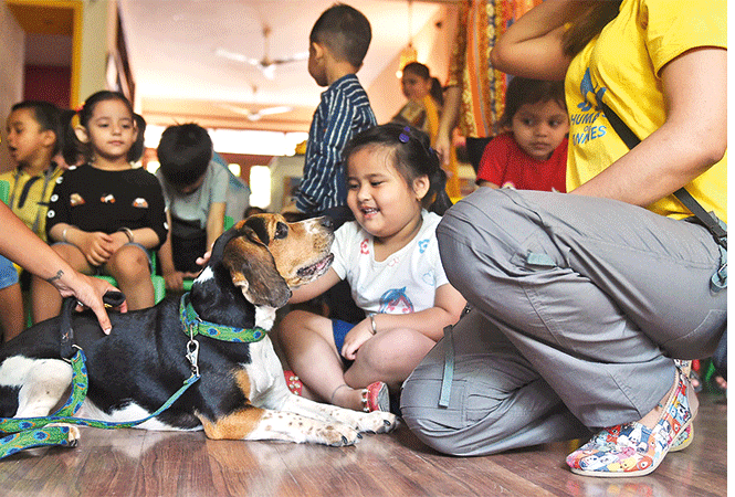 Exam stress, special needs or mental health – help is at hand with therapy  dogs | Delhi News - Times of India