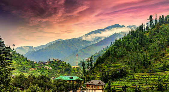 Janjehli in Himachal Pradesh to soon become an eco-tourism destination