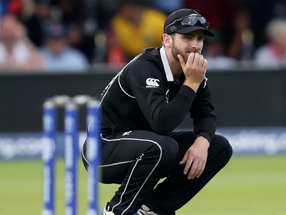 No One Lost The World Cup Final Kane Williamson Cricket News Times Of India