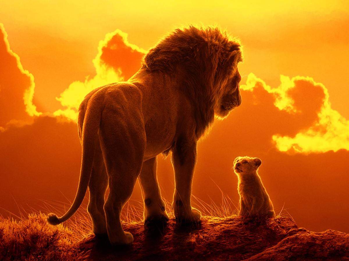 'The Lion King' box office collection Day 1: Disney's live-action remake of 1994 classic collects Rs 10.75 on its opening day