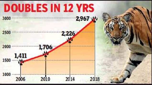 Tiger Population Chart