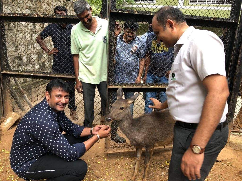 Darshan renews his adoption of wild animals at the Mysuru zoo | Mysuru News  - Times of India