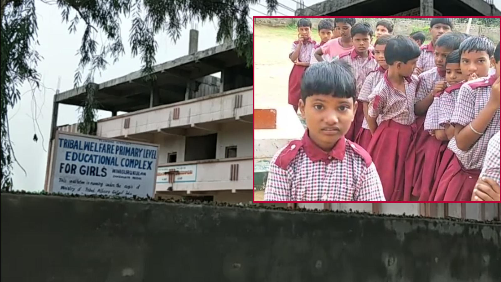 Telangana: Principal forced girl students to cut hair due to water shortage  | City - Times of India Videos