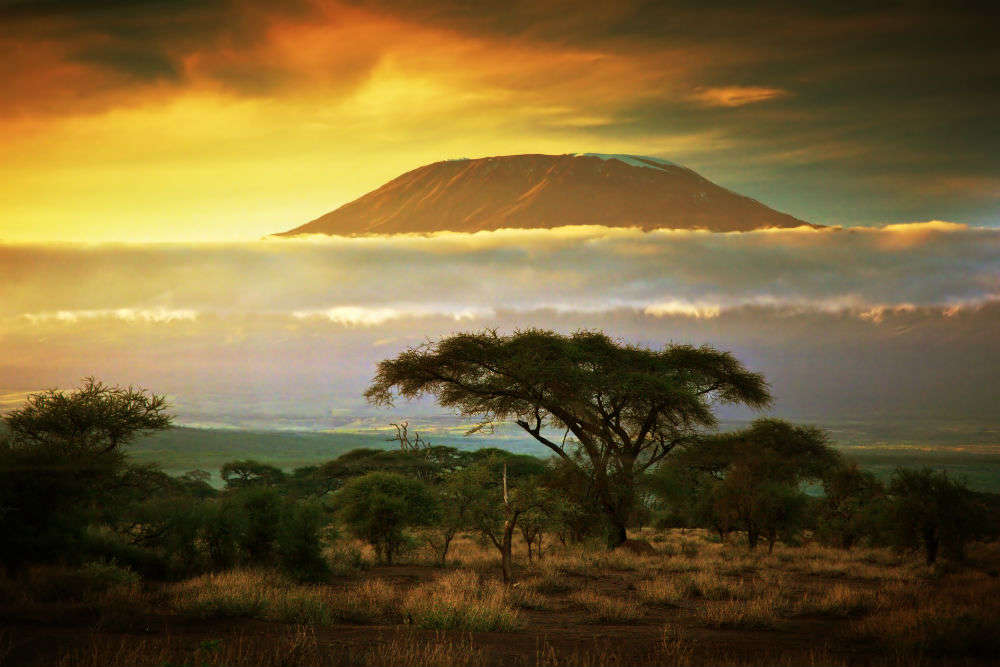 9-year-old boy from Pune climbs Mount Kilimanjaro in just 7 days!