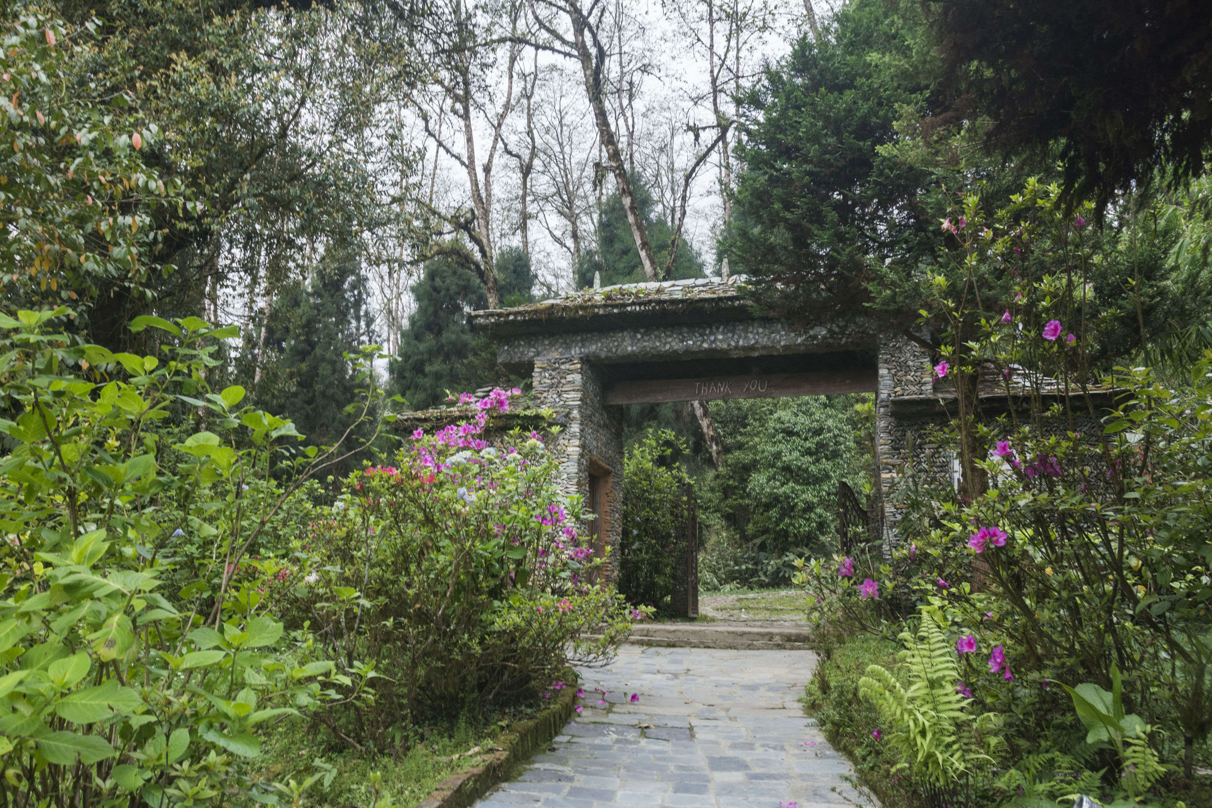 Sikkim Tourism—Temi Tea Estate gets an eco-adventure resort