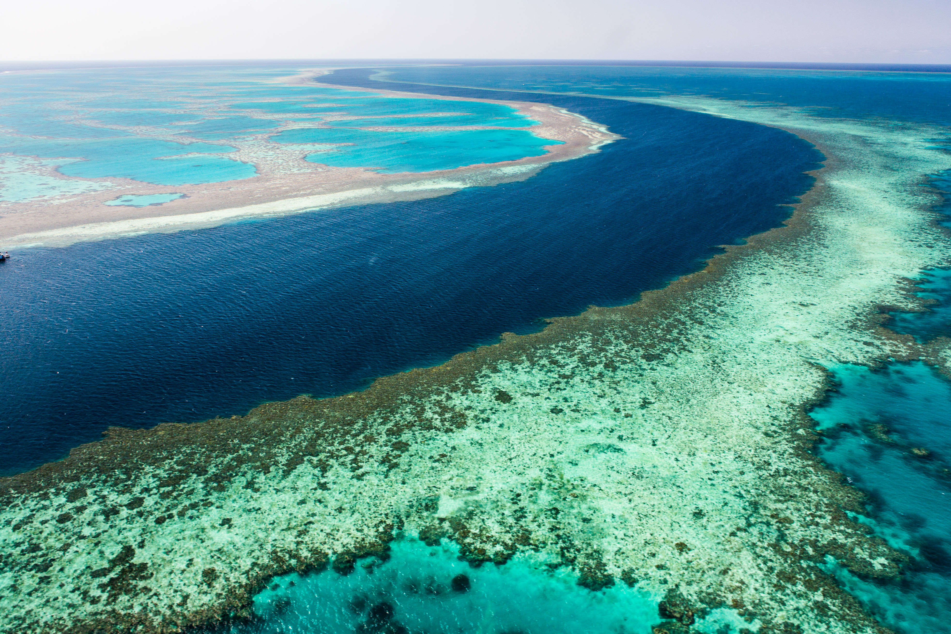 The Great Barrier Reef is in very poor shape, suggests report