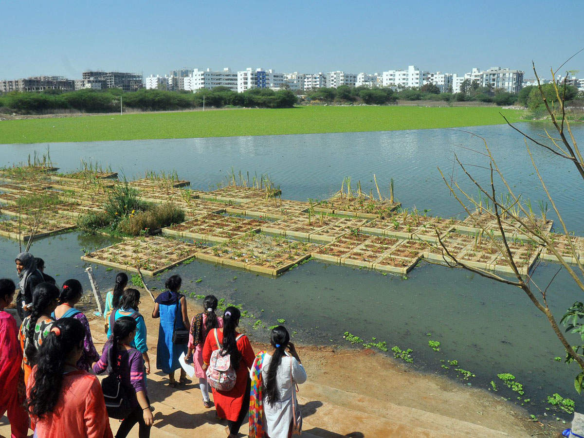 Floating Treatment Wetland, Neknampur Lake in Hyderabad (TOI file photo)