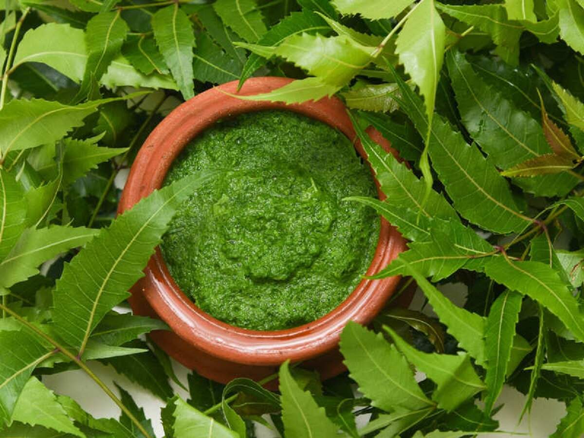 Image result for neem paste