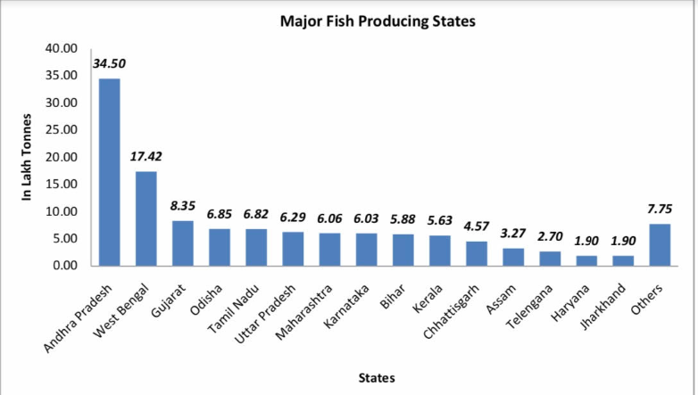 India Stands 3rd in the World in Terms of Fish Production_80.1