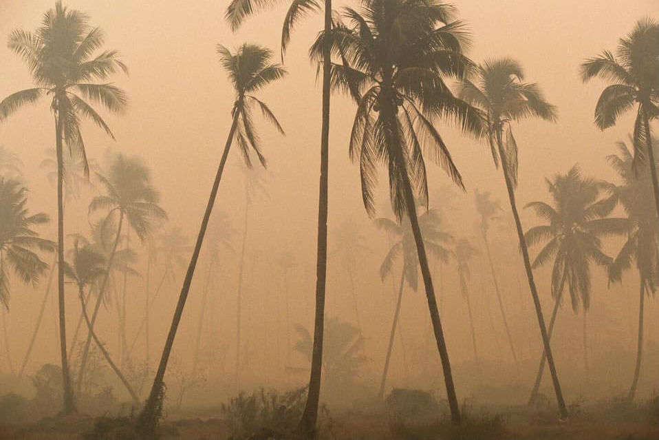 Indonesian forest fire catastrophe has an impact in Southeast Asia