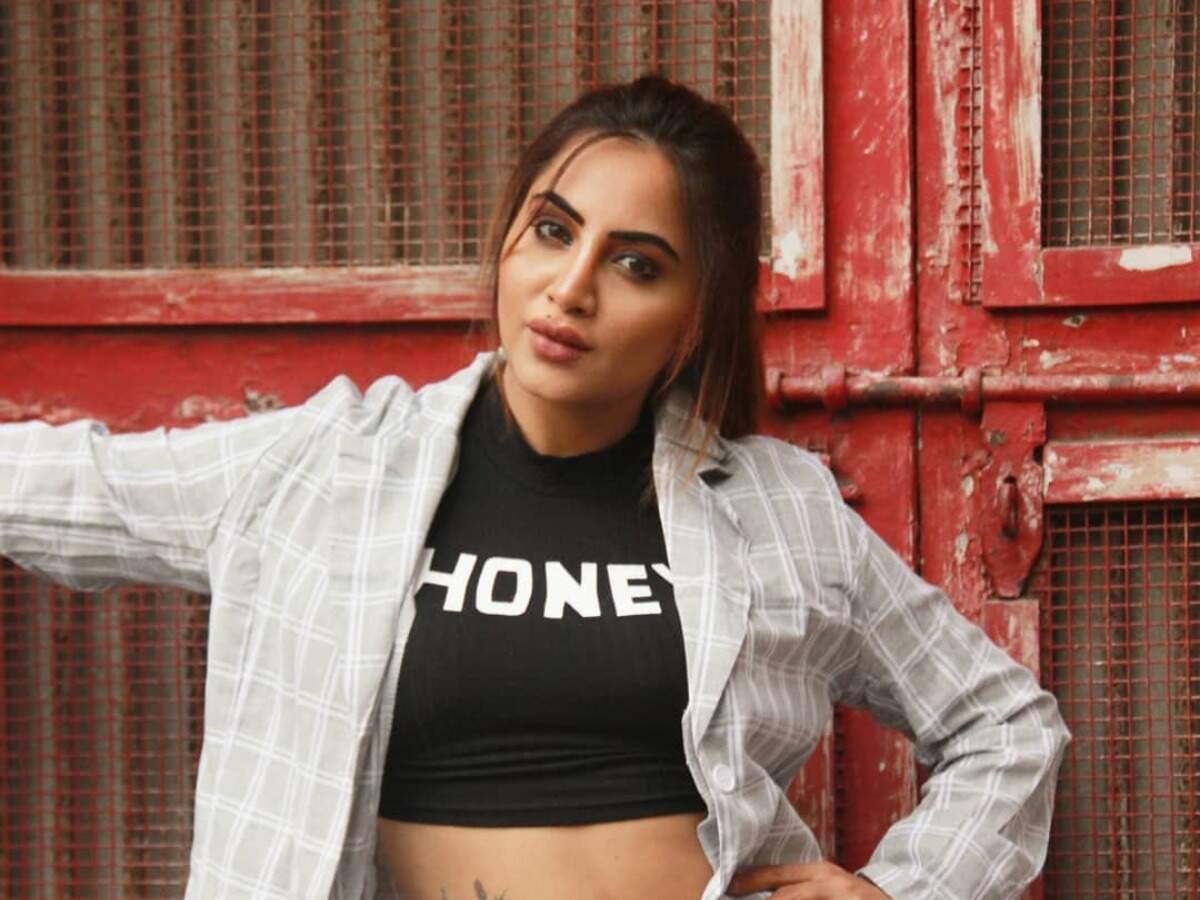 Bigg Boss 11 S Arshi Khan Shares Throwback Videos From Her