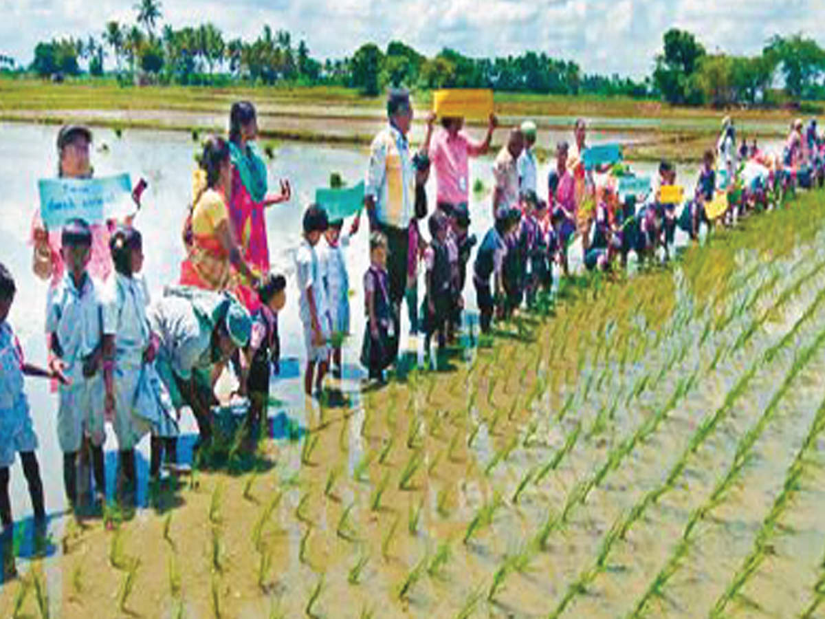 Children from Oxford primary school taking up farming activities along with farmers in Somarasampettai