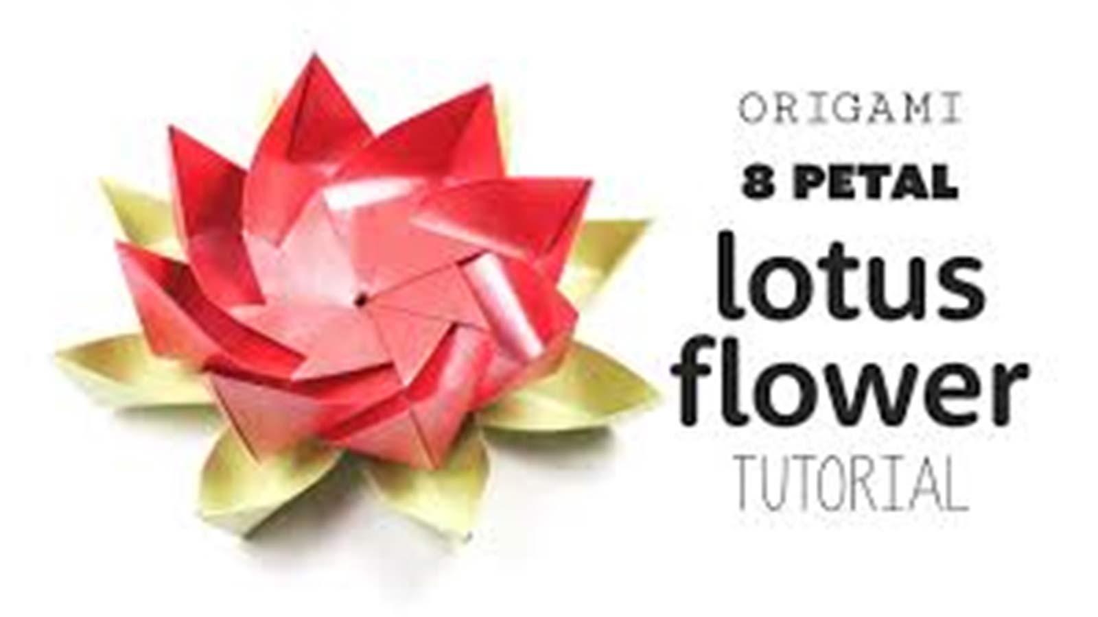 Origami In Marathi Learn To Make 8 Petal Lotus Best Learning Video