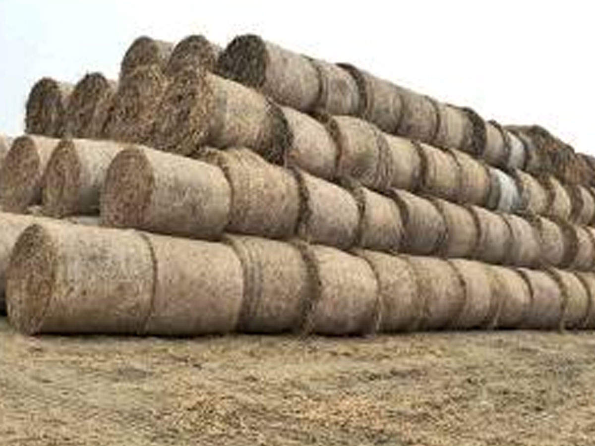 Stacks of paddy stubble kept at the mill