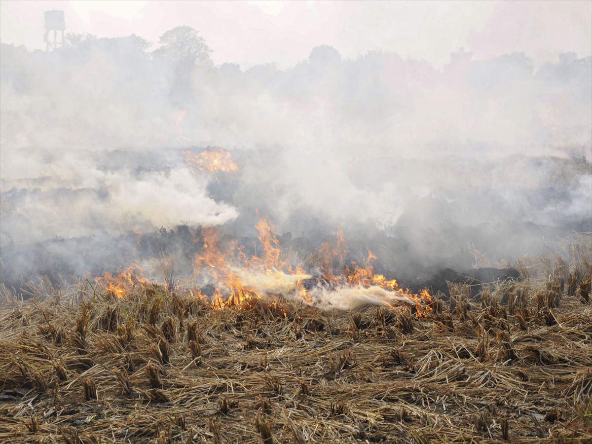 Stubble burning: 45 FIRs registered, 22 farmers arrested for burning paddy  straw in Ludhiana | Ludhiana News - Times of India