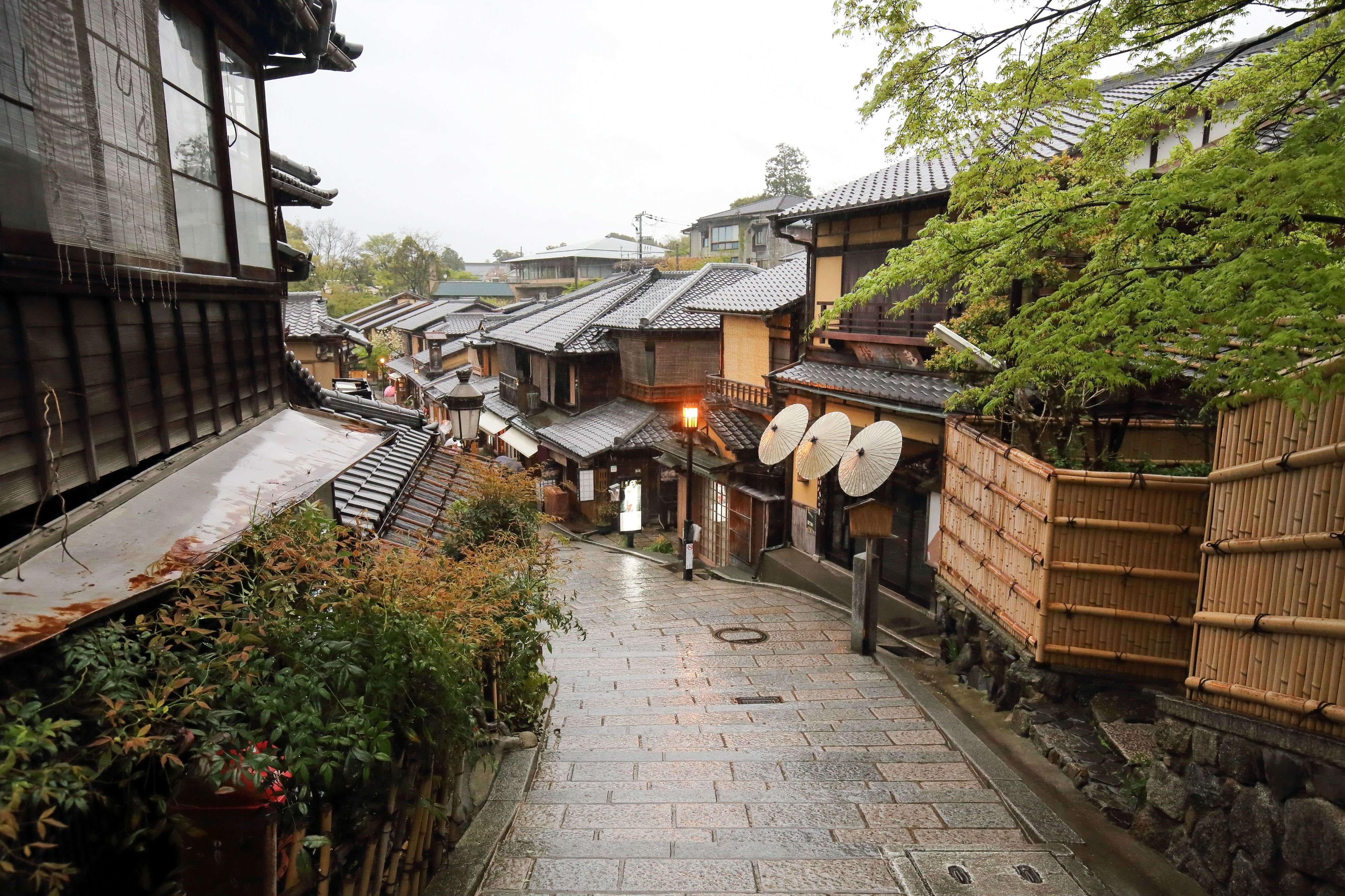 Photography banned in certain parts of Kyoto’s Gion district