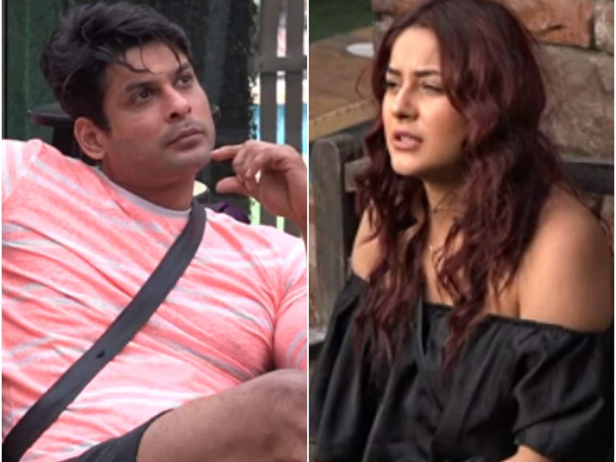 sigte Gylden tolerance Bigg Boss 13: Salman Khan asks Shehnaz Gill and Sidharth Shukla if they  have feelings for each other - Times of India