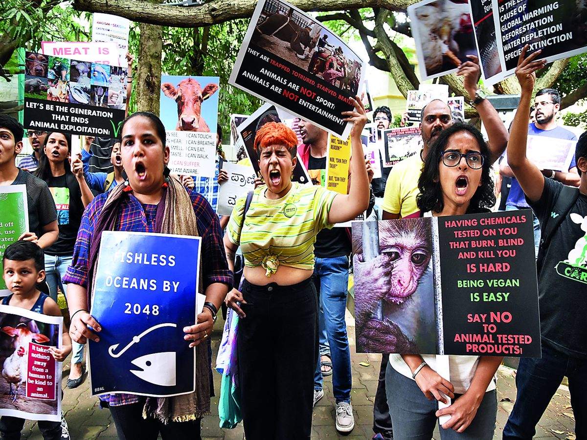 Veganism not a trend, it's a social justice movement: Animal rights  activists | Events Movie News - Times of India
