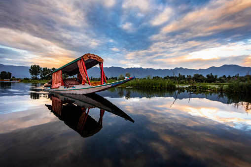 Dal Lake and its surrounding areas to be declared eco-sensitive zone soon