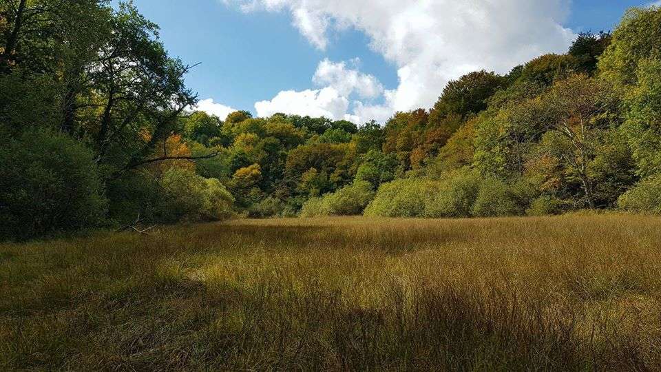 This all-new French national park is very close to Paris