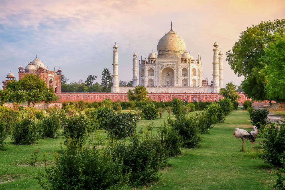 Mehtab Bagh Taj view point opens for tourists