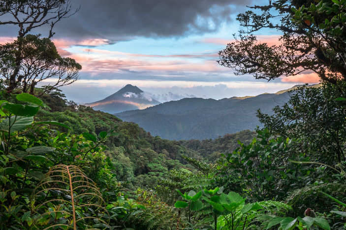 Costa Rica does not want you to take wildlife selfies anymore