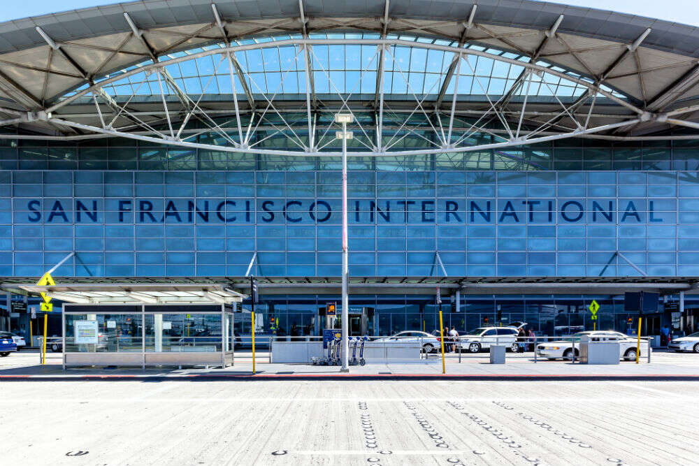 LiLou, the pig, calms anxious travellers at San Francisco International Airport