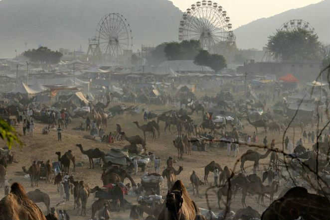 Sonepur Mela 2019—in appreciation of rural India