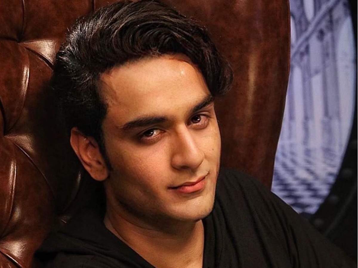 Bigg Boss 13: Vikas Gupta to take the housemates by surprise with his wild  card entry - Times of India