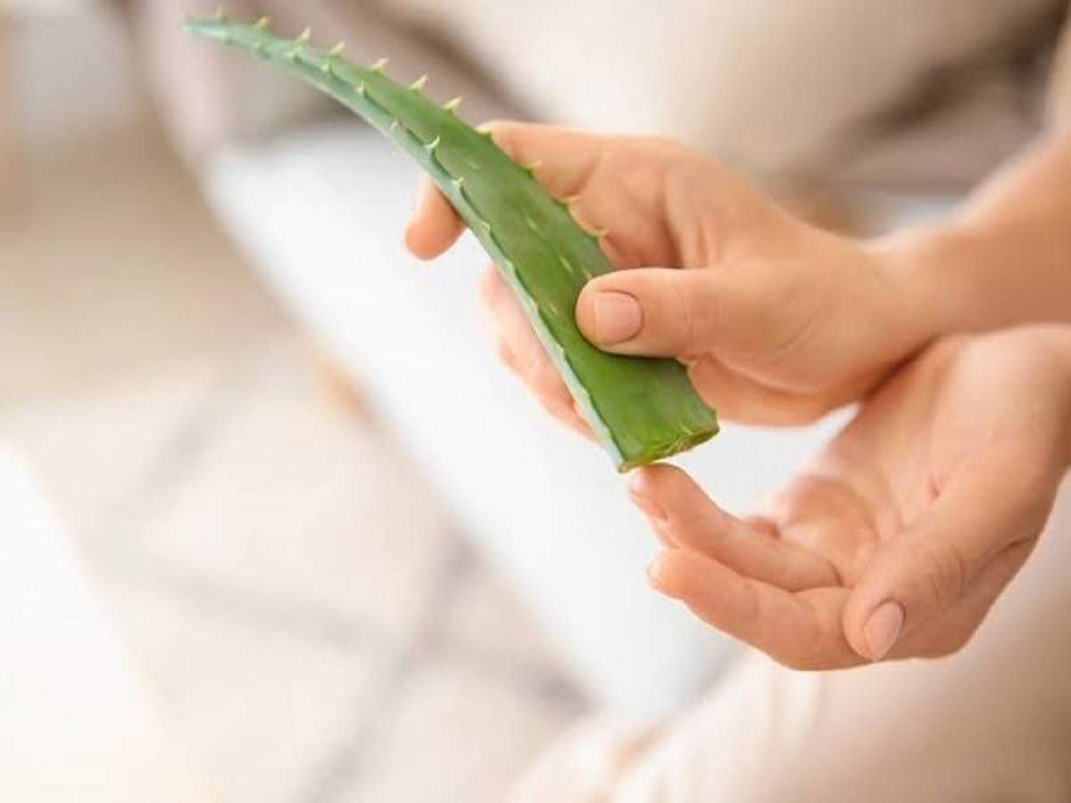 Aloe Vera Try These Aloe Vera Products For A Hydrated Supple And