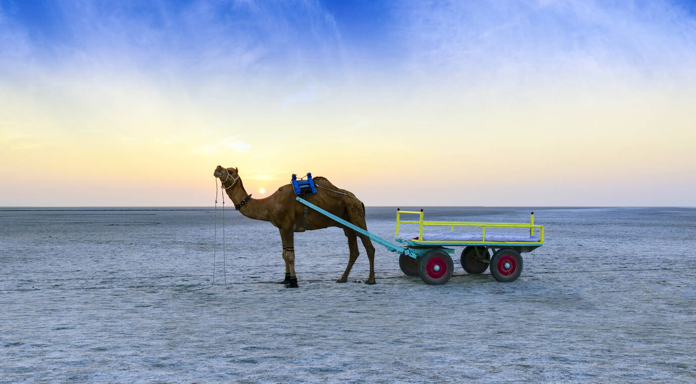 IRCTC launches Rann Utsav package this season