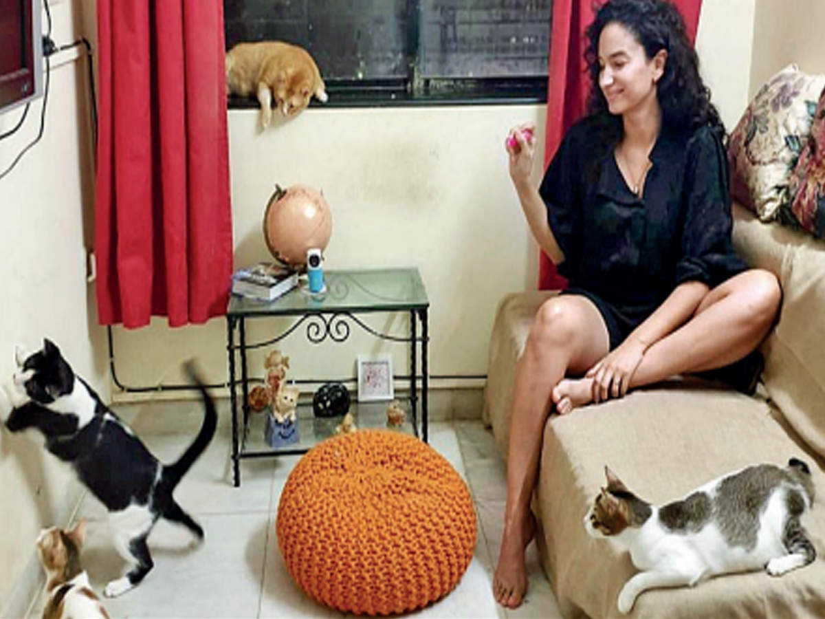 Supermodel-actor Elena Fernandes with the rescued cats at her Bandra home.