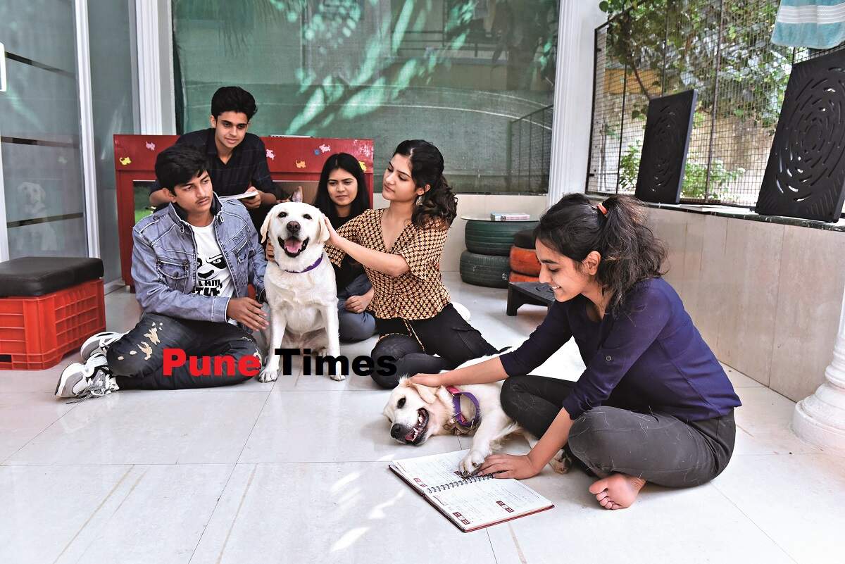 Meet the canines who work part-time, providing animal-assisted therapy to humans - Times of India Meet the canines who work part-time, providing animal-assisted therapy to humans - Times of India