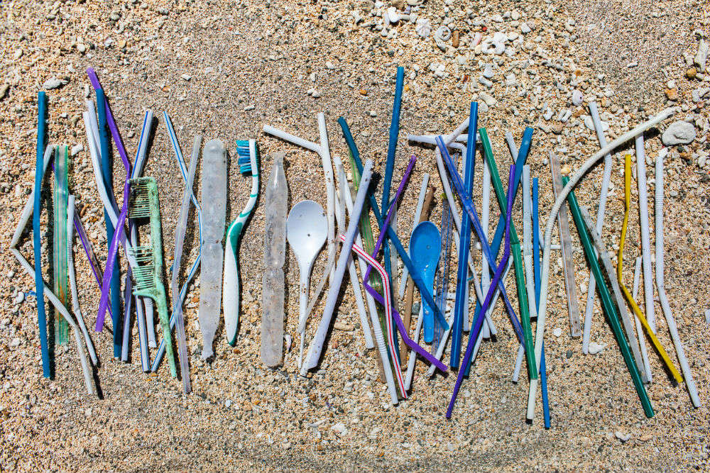 Eilat in Israel becomes first to ban disposables on beaches