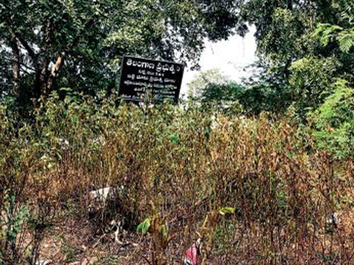 The land that was earmarked for a biodiversity park near Saket Colony lies neglected due to a legal tussle between revenue department officials and private parties