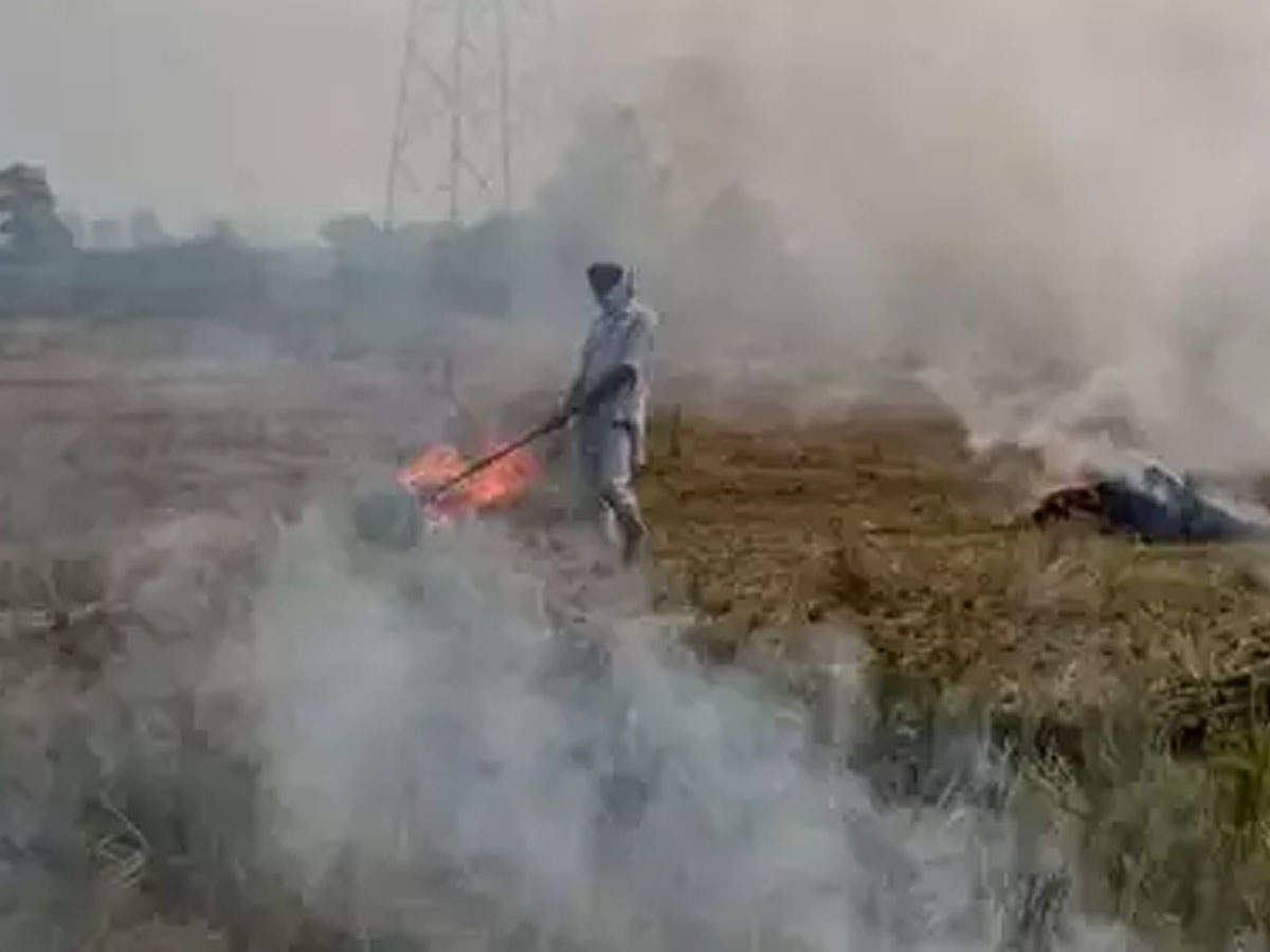 Punjab issued fines worth Rs 6.1 crore in 23,308 stubble burning incidents (Photo: PTI)