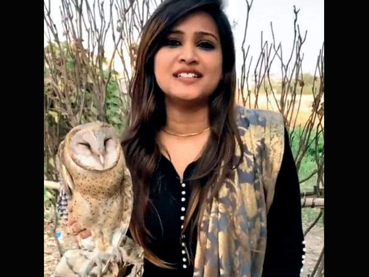 Gujarat: Video of woman holding barn owl goes viral, probe ordered | Rajkot  News - Times of India