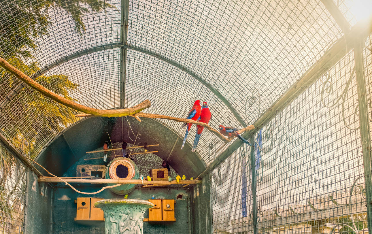 India’s tallest and biggest aviary opens in Mumbai
