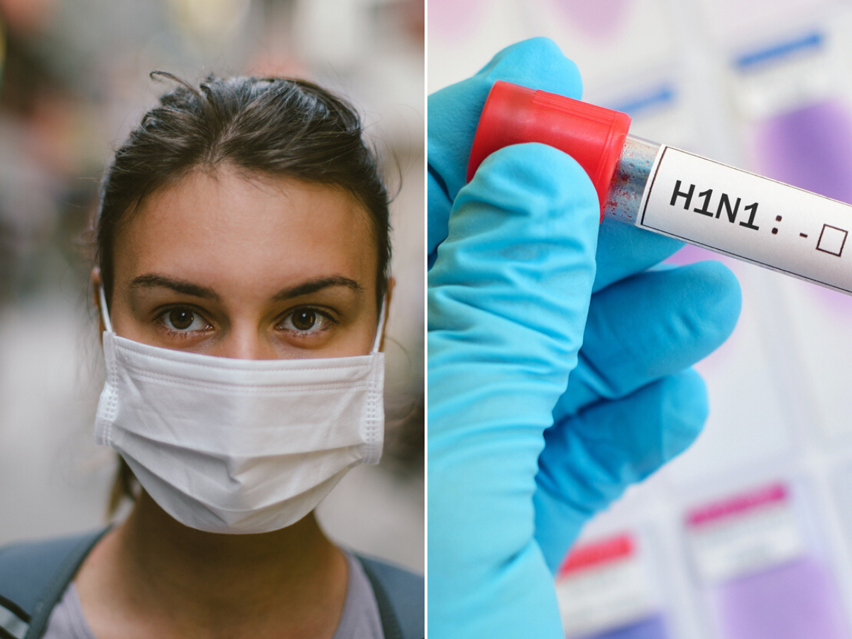 Swine flu: All you need to know about the H1N1 influenza - Times of India